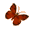 Schmetterling
